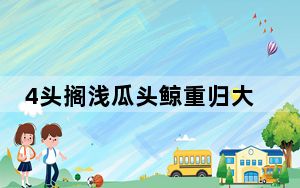 4头搁浅瓜头鲸重归大海 背后真相让人感到惊讶