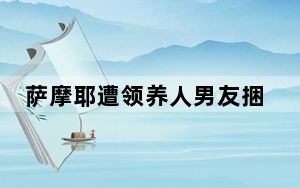 萨摩耶遭领养人男友捆脚丢弃死亡 背后真相实在令人震惊