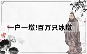 一户一墩!百万只冰墩墩到货啦 背后真相实在让人惊愕