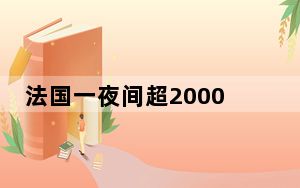 法国一夜间超2000辆车被烧成废铁 背后真相实在令人震惊