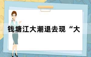 钱塘江大潮退去现“大地之树”景观 这到底是怎么回事？