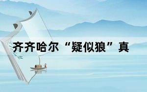 齐齐哈尔“疑似狼”真实身份确定 背后真相实在让人惊愕