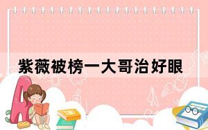紫薇被榜一大哥治好眼睛 背后真相实在让人惊愕
