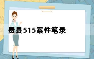 费县515案件笔录 背后真相实在令人震惊