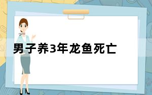 男子养3年龙鱼死亡 背后真相实在令人震惊