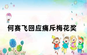 何赛飞回应痛斥梅花奖 这到底是怎么回事？