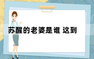 苏醒的老婆是谁 这到底是怎么回事？