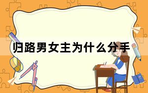 归路男女主为什么分手 背后真相令人震惊