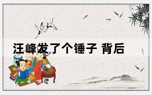 汪峰发了个锤子 背后真相让人感到惊讶