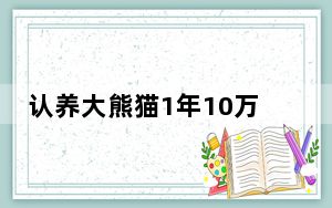 认养大熊猫1年10万终身100万 背后真相实在让人惊愕