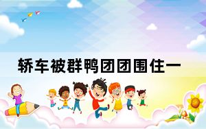 轿车被群鸭团团围住一动不敢动 这到底是怎么回事？