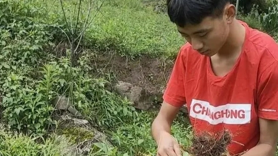 凉山小伙考上北大 录取前还在干农活 背后真相实在让人感动