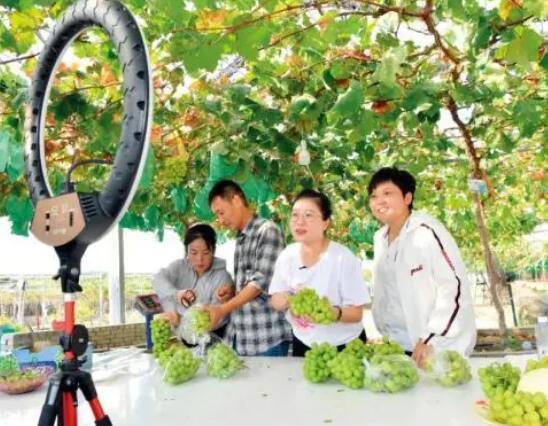 就业突围:回农村的毕业生  背后真相实在令人感到惊愕