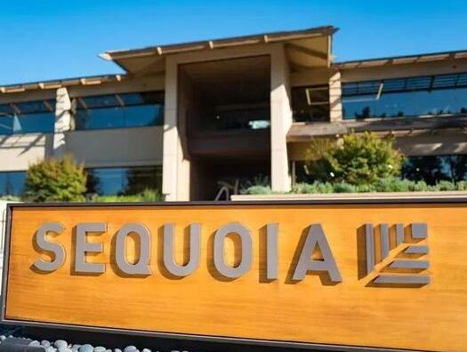 全球顶尖PE巨头红杉资本大裁员  背后真相实在令人感到惊愕