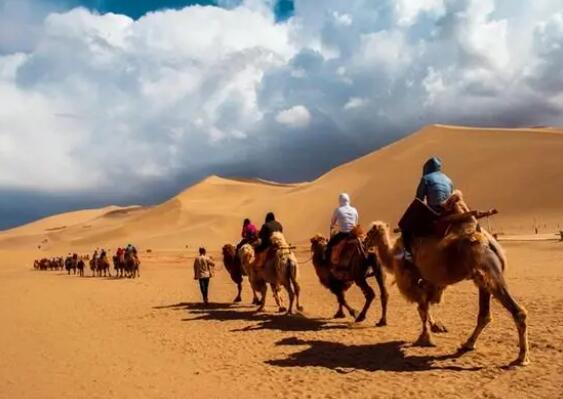 敦煌景区骆驼“罢工”?驼户回应  背后真相实在令人感到惊愕