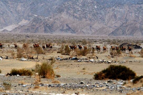自驾进罗布泊失联者找到 已遇难  背后真相让人惊讶万分