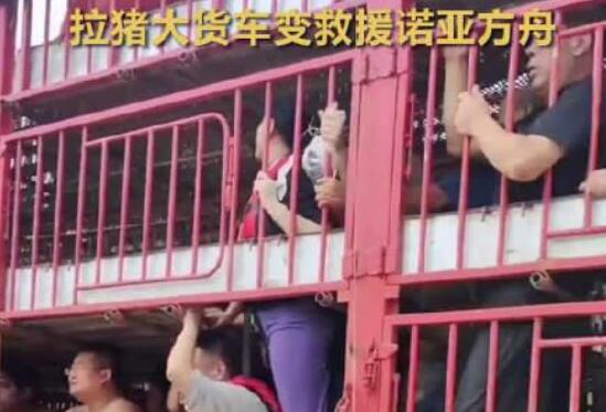 涿州洪灾 拉猪大货车变“诺亚方舟”  背后真相实在令人感到惊愕