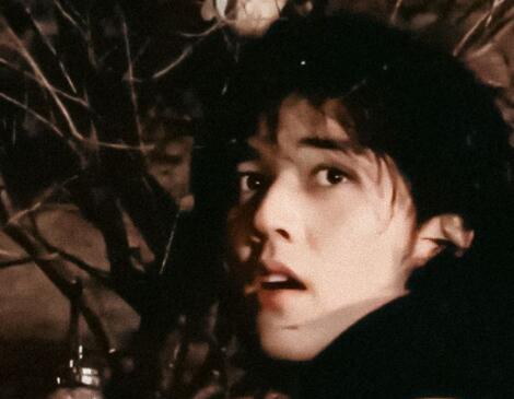 世界名画之陈牧驰救猫 画面曝光简直不忍直视 这到底是怎么回事？