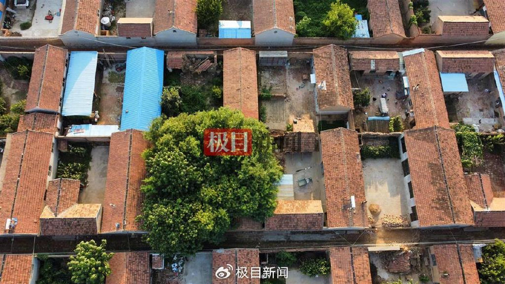 山东平原地震震中直击  背后真相实在令人感到惊愕