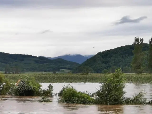 水稻第一县五常遭重创 或面临绝收  背后真相实在令人感到惊愕