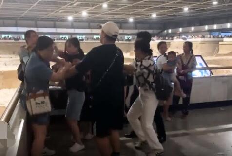 多名游客在兵马俑大厅群殴  背后真相让人惊讶万分