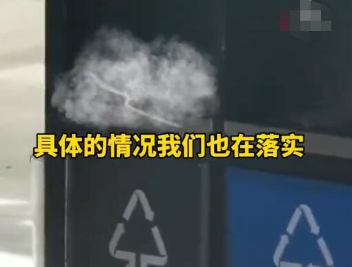 昆明车站外多条绿蛇在垃圾箱上爬行  背后真相实在令人感到惊愕