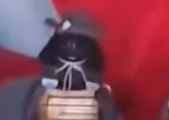 重庆一寺庙疑供奉日本邪神  背后真相实在令人感到惊愕