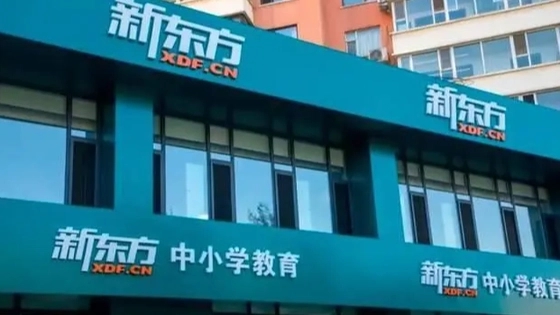 夏威夷山火致53死 航拍像被轰炸战区 背后真相实在令人感到惊愕