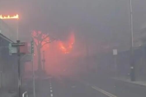 夏威夷山火致53死 航拍像被轰炸战区  背后真相实在令人感到惊愕