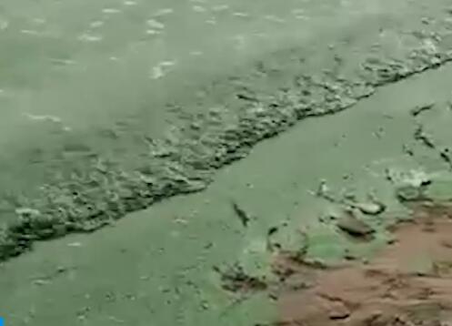 黑龙江一湖水变绿似菠菜汁  内幕曝光简直太意外了