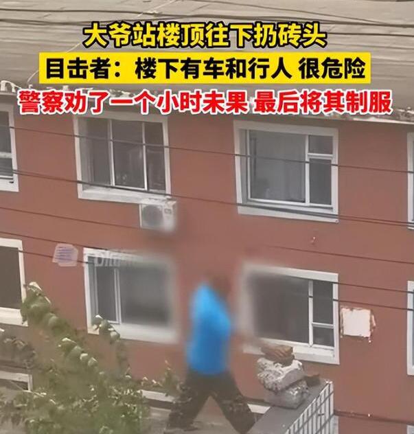 老人站楼顶扔砖头被特警制服 这到底是怎么回事？