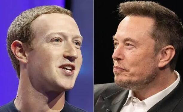 超级富豪“笼斗约架”夭折?  背后真相实在令人感到惊愕