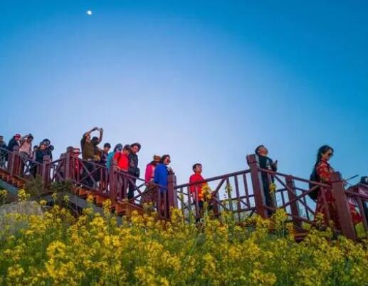 游客曝导游强制购物还不让提前走  背后真相实在令人感到惊愕