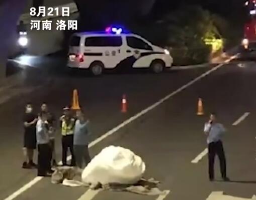 洛阳不明物体将地面砸出坑? 背后真相实在令人感到惊愕
