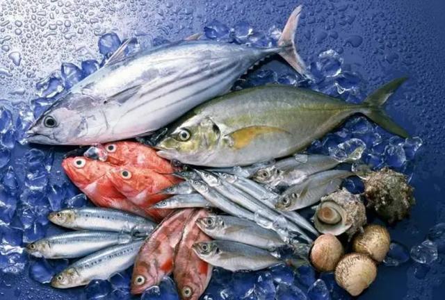 日本核污染水排海 从日本进口的海鲜还能吃吗？