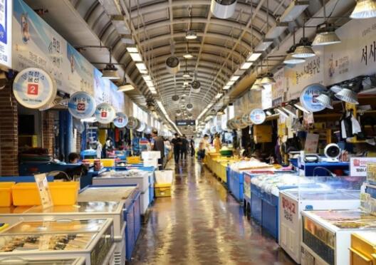 韩国多个海鲜市场几乎空无一人  背后真相让人惊讶万分