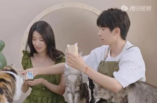 杨汝晴最后和谁在一起了 心动的信号6女七杨汝晴和侯卓成cp太好嗑了