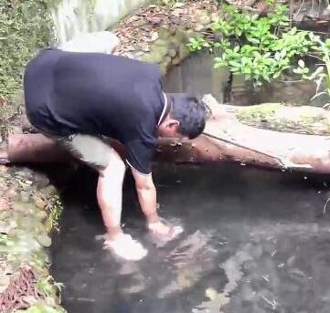 男子下鳄鱼池捞手机 动物园回应  背后真相实在令人感到惊愕