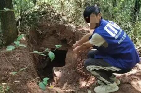 四川男子邀约多人盗墓9处被抓  背后真相令人感到震惊