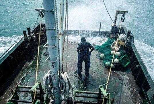 中国渔民:日本把我财路给断了  背后真相让人惊讶万分