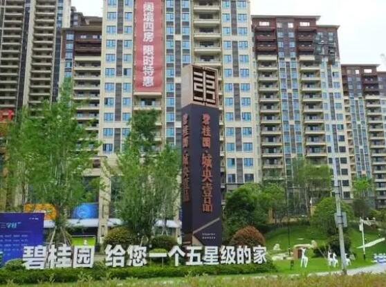 实探碧桂园危机中的买房人  内幕曝光简直太意外了