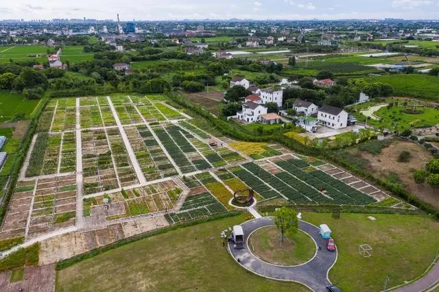 农民日报评论：退休还乡 不要总盯着“宅基地”