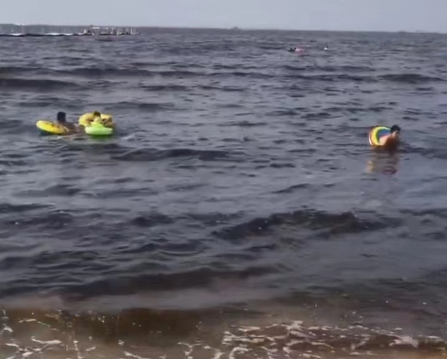 辽宁一海域海水变黑 当地回应 背后真相实在令人感到惊愕