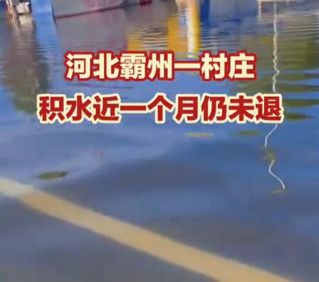河北一村庄洪灾后积水1个月未退  内幕曝光简直太意外了