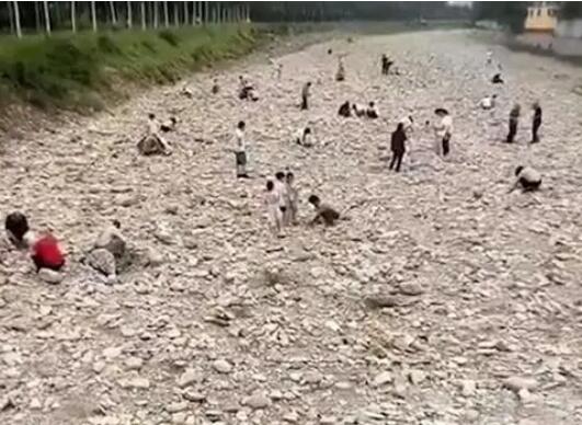 男子自导自演河道内淘金被立案侦查  背后真相令人感到震惊