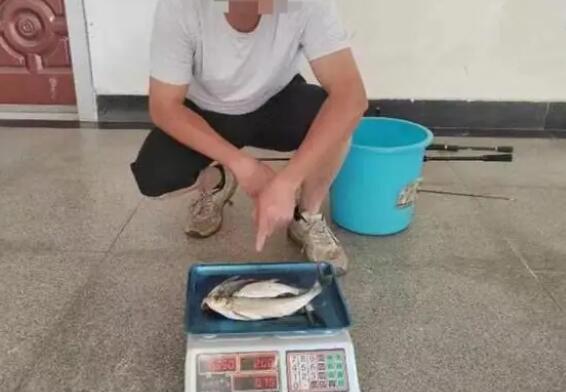 男子使用12钩串非法钓鱼被刑拘  背后真相让人惊讶万分