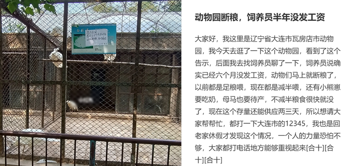 辽宁一动物园将断粮?官方:属实 背后真相实在令人感到惊愕