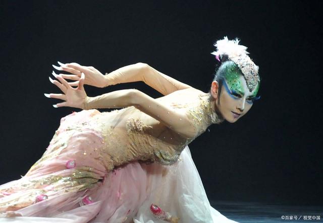 杨丽萍回应舞蹈大尺度设置 背后真相实在令人感到惊愕