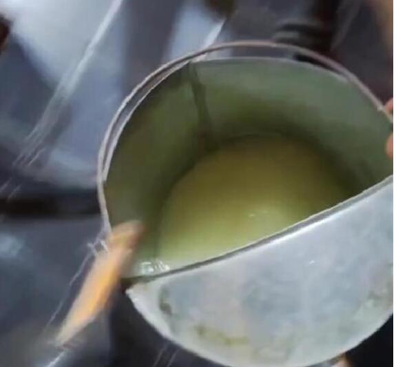 哈尔滨多辆车加油后开出不远就熄火 这到底是怎么回事？