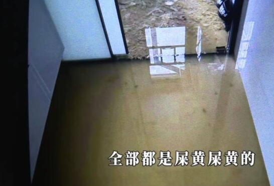 新房五天遭粪水淹两次 业主崩溃  内幕曝光简直太意外了